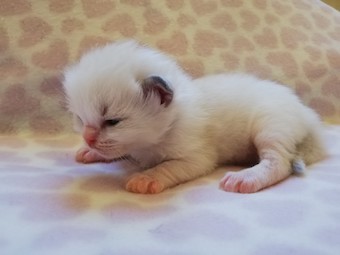 thumbnail_img_20210218_170606