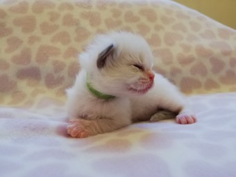 thumbnail_img_20210218_170737