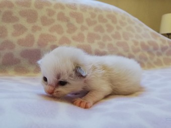 thumbnail_img_20210218_171305