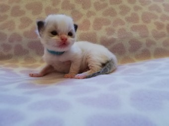 thumbnail_img_20210218_171852