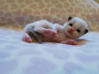 thumbnail_img_20210218_172051