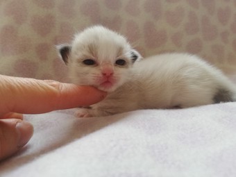 thumbnail_img_20210222_110952