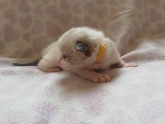 thumbnail_img_20210222_111116