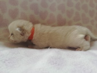 thumbnail_img_20210222_111230