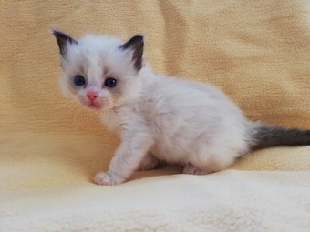 thumbnail_img_20210306_165211