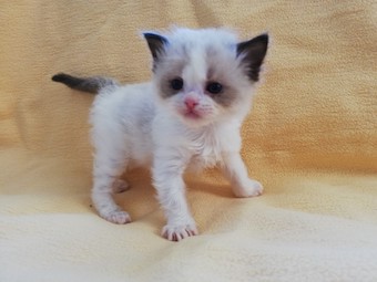 thumbnail_img_20210306_165908