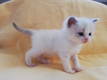 thumbnail_img_20210306_170954