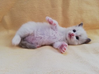 thumbnail_img_20210306_171246