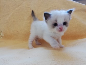 thumbnail_img_20210306_172843