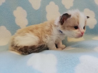 thumbnail_img_20210306_173511