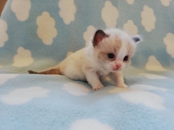 thumbnail_img_20210306_174341