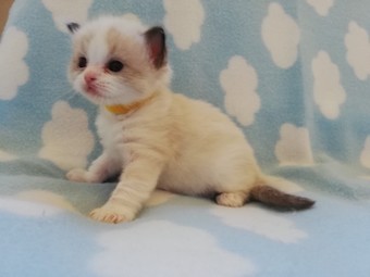 thumbnail_img_20210306_174450