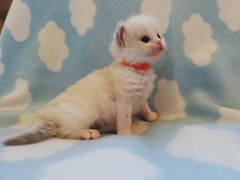 thumbnail_img_20210306_174553