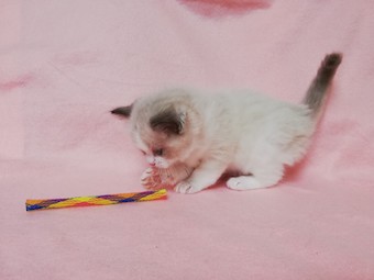 thumbnail_img_20210321_140904