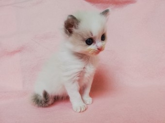 thumbnail_img_20210321_141015