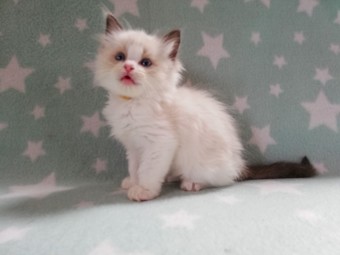 thumbnail_img_20210322_101628