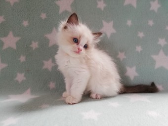 thumbnail_img_20210322_101633