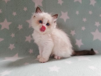 thumbnail_img_20210322_101635