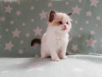 thumbnail_img_20210322_102426