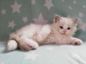 thumbnail_img_20210322_102700