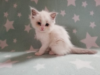 thumbnail_img_20210322_154922