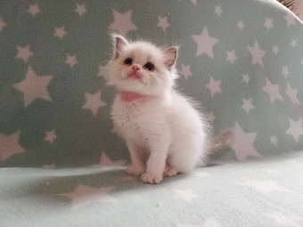 thumbnail_img_20210322_155253_1