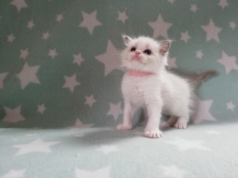 thumbnail_img_20210322_155428_1