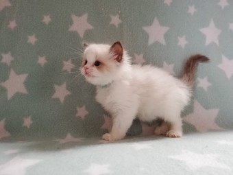 thumbnail_img_20210322_155755