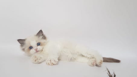 thumbnail_img-20210405-wa0016