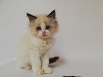 thumbnail_img_20210405_130511