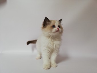 thumbnail_img_20210405_131455