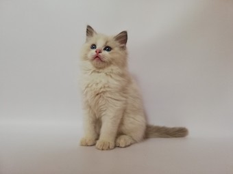 thumbnail_img_20210405_132642