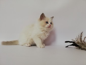 thumbnail_img_20210405_132817