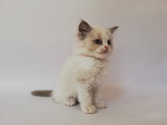 thumbnail_img_20210405_133823