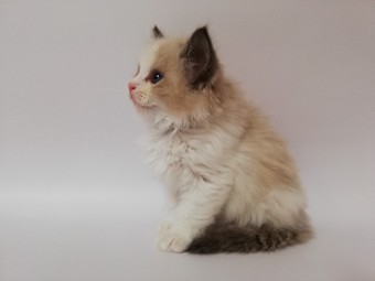 thumbnail_img_20210405_135514