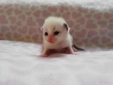 thumbnail_img_20210908_192829