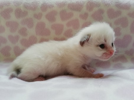 thumbnail_img_20210908_192851