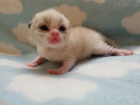 thumbnail_img_20210908_193535