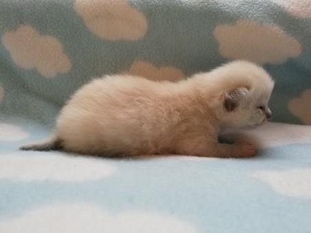 thumbnail_img_20210908_193622