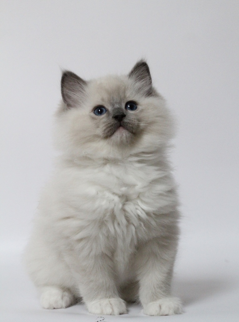 5ygqqvw7sxwqvouegdymw_thumb_c80