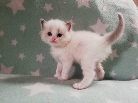 thumbnail_img_20210924_160556