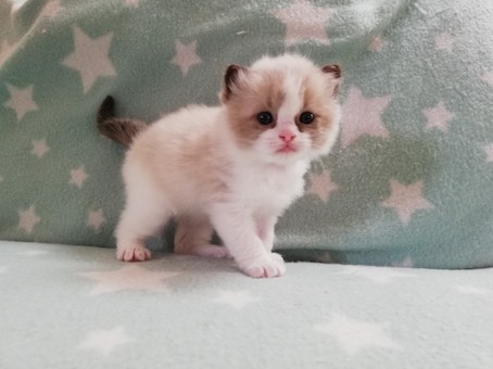 thumbnail_img_20210924_161341