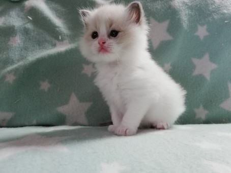 thumbnail_img_20210924_162918