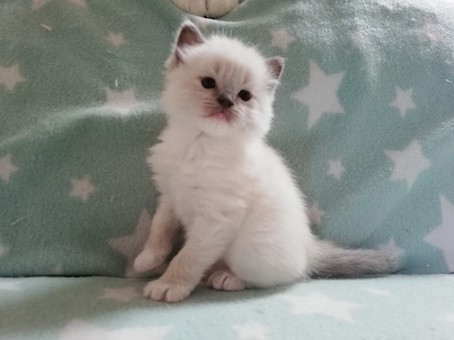 thumbnail_img_20210924_163206