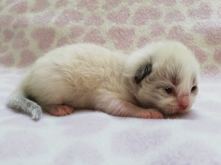 thumbnail_img_20211008_154540