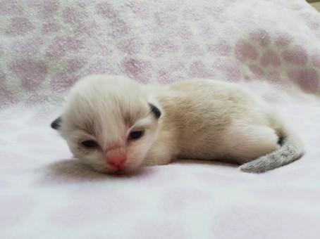 thumbnail_img_20211008_154924paars