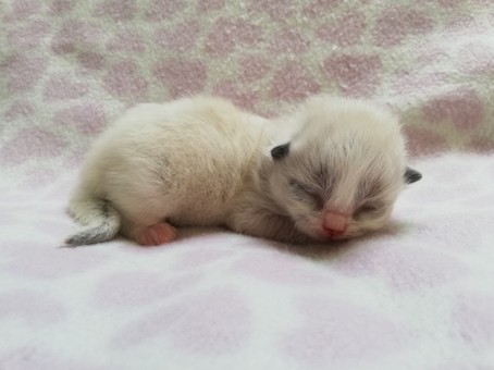 thumbnail_img_20211008_155029_1oranje