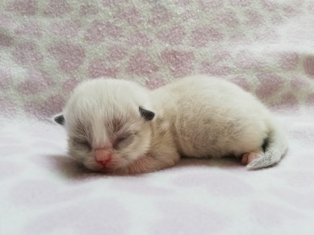 thumbnail_img_20211008_155053_1oranje