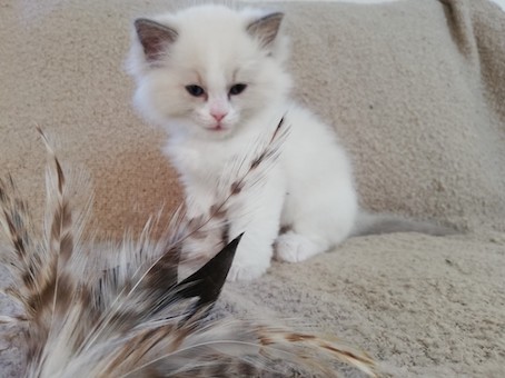 thumbnail_img_20211010_144553