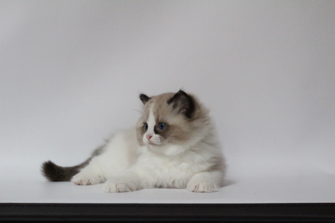 unadjustednonraw_thumb_c6e